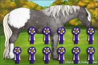 Horse Color:Liver Chestnut Mushroom Snowcap 