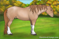 Horse Color:Liver Red Roan Pearl Tobiano 