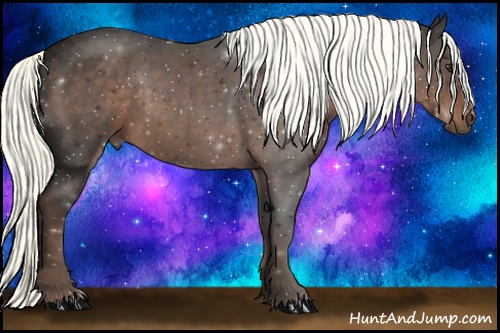 Horse Color: Liver Chestnut 