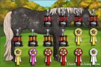 Horse Color:Liver Chestnut Mushroom 