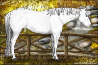 Horse Color:Black Frame 
