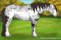 Horse Color:Liver Chestnut Ice Frame 