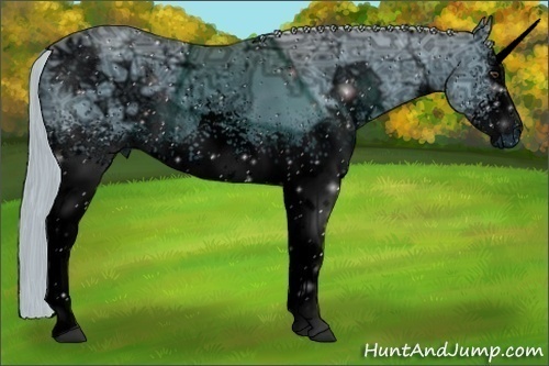 Horse Color: ERROR: UNKNOWN ANOMALY