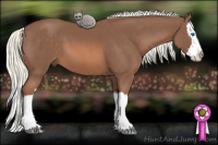 Horse Color:Liver Chestnut Mushroom Splash 