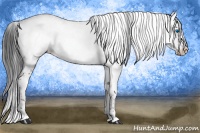 Horse Color:Black Frame 