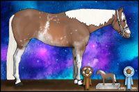 Horse Color:White Spotted Liver Chestnut Mushroom 