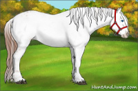 Horse Color:Liver Chestnut Frame 