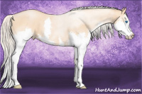 Horse Color:Chocolate Palomino Pearl Sabino Splash