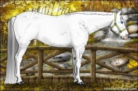 Horse Color:Black Frame
