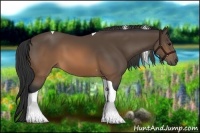 Horse Color:Brown Tobiano
