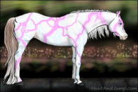 Horse Color:Liver Chestnut Frame 