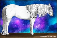 Horse Color:Liver Chestnut Frame