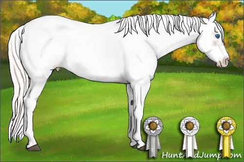 Horse Color: Liver Chestnut Mushroom Frame 