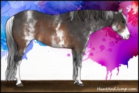 Horse Color:White Spotted Brown 