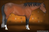 Horse Color:Brown 
