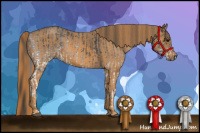 Horse Color:White Spotted Blue Roan Rabicano  Brindle