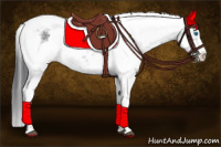 Horse Color:Black Frame Rabicano