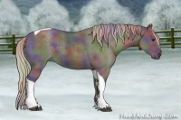 Horse Color:Nacre Silver Black Tobiano 