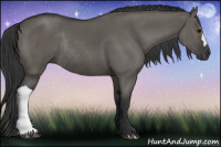 Horse Color:Grullo Rabicano 