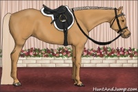 Horse Color:Palomino 
