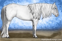 Horse Color:Black Frame 