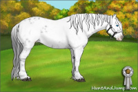 Horse Color:Black Frame 