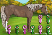 Horse Color:Silver Black 