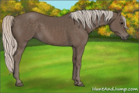 Horse Color:Silver Black 
