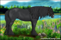 Horse Color:Black Frame 