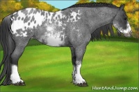 Horse Color:White Spotted Blue Roan Splash Frame Blanket 