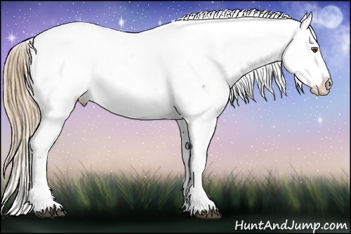 Horse Color: Liver Chestnut Ice Pearl Sabino Near Fewspot 