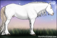 Horse Color:Liver Chestnut Ice Pearl Sabino Near Fewspot 