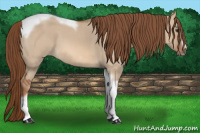 Horse Color:Liver Red Dun Tobiano Frame 