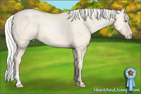Horse Color:Silver Smoky Grullo Pearl 