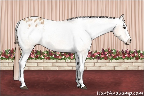Horse Color: Bay Roan Dun Splash Varnish 