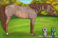 Horse Color:Red Roan Sabino 