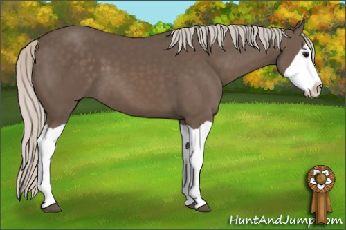 Horse Color: Silver Black Splash 