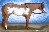 Horse Color:Liver Red Roan Frame 
