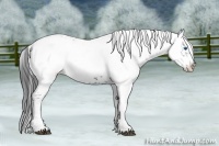 Horse Color:Black Frame 