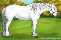 Horse Color:Black Frame 