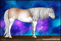 Horse Color:Gray Silver Buckskin Splash Frame