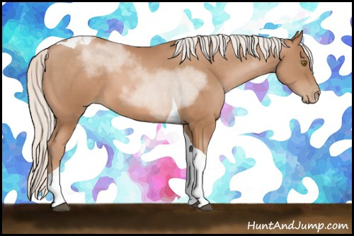 Horse Color: Silver Brown Pearl Tobiano 