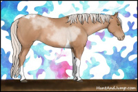 Horse Color:Silver Brown Pearl Tobiano 