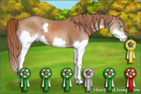 Horse Color:Liver Chestnut Splash 
