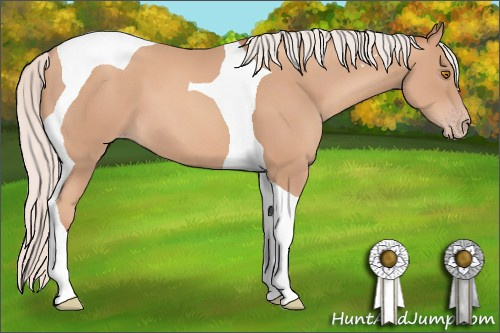 Horse Color: Silver Classic Champagne Tobiano 