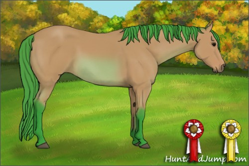 Horse Color: Watercolor Bay 