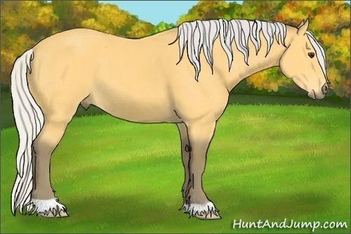 Horse Color: Silver Buckskin 