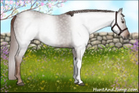 Horse Color:Gray Chestnut 