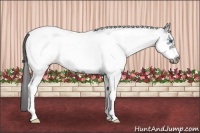 Horse Color:White Spotted Black Frame Snowcap 