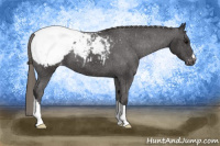 Horse Color:Buckskin Snowcap 